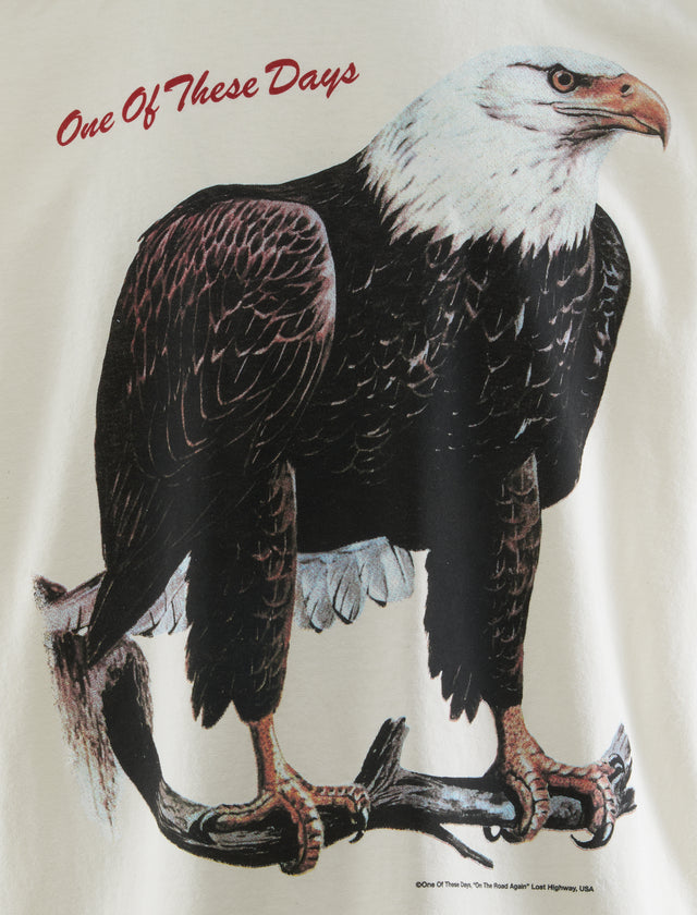 猛禽Tシャツ
