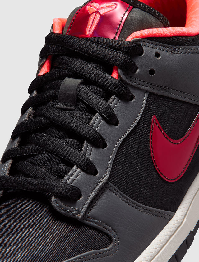 DUNK LOW PROTRO