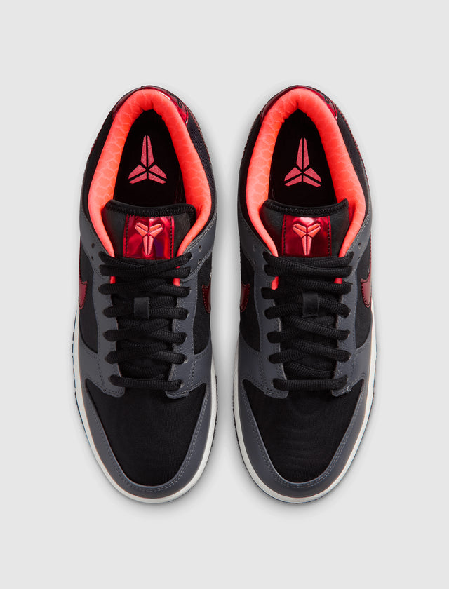 DUNK LOW PROTRO