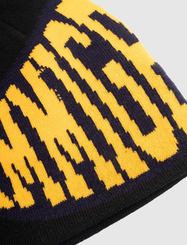 IMMIGRANTS BEANIE
