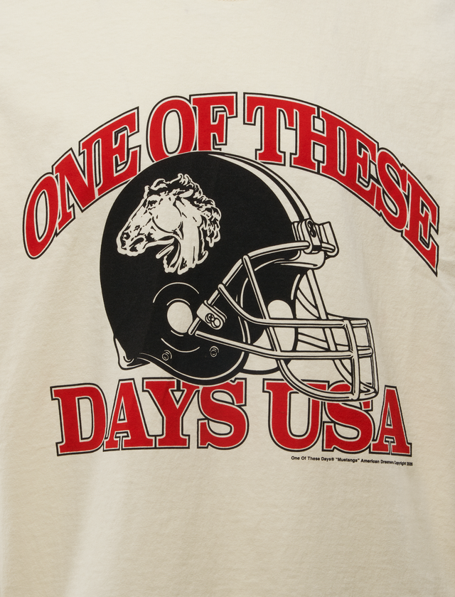 DAYS USA T-SHIRT